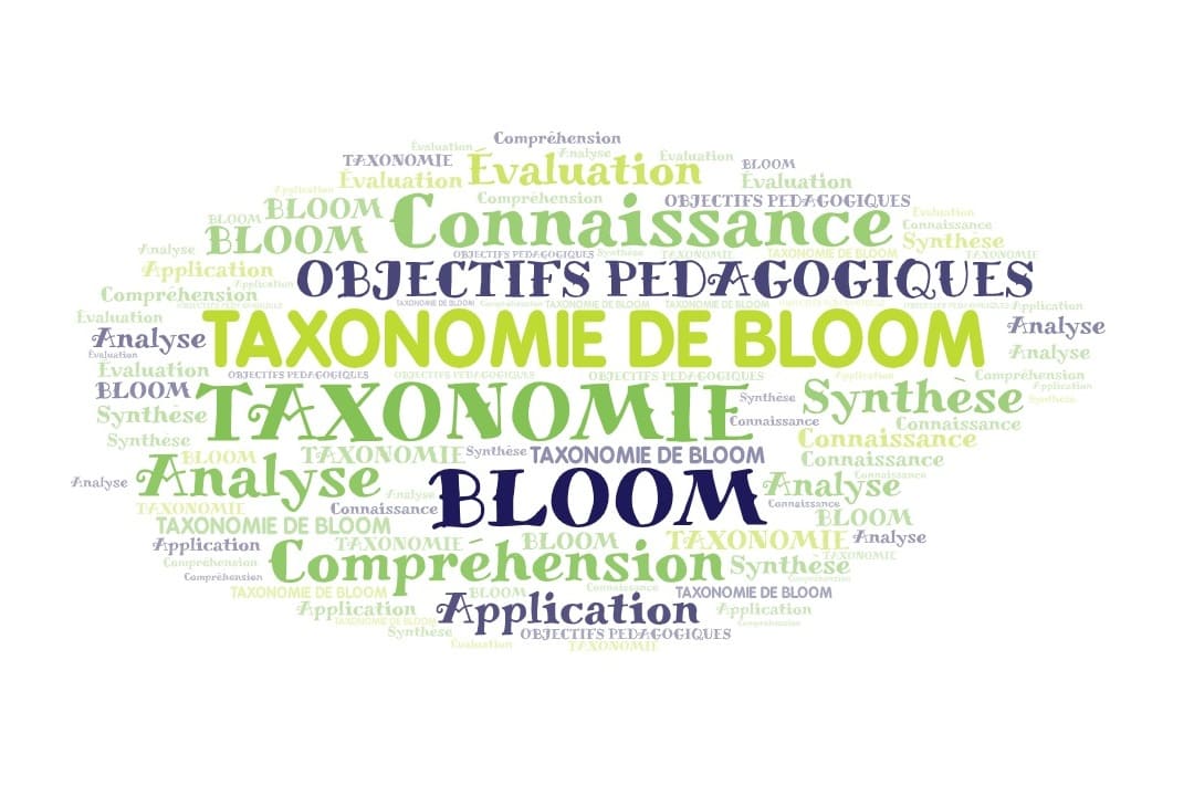 Qu’est-ce que la taxonomie de Bloom