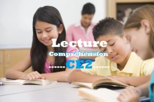 Lecture compréhension CE2 : texte et questions PDF