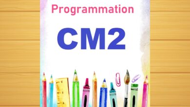 programmation CM2