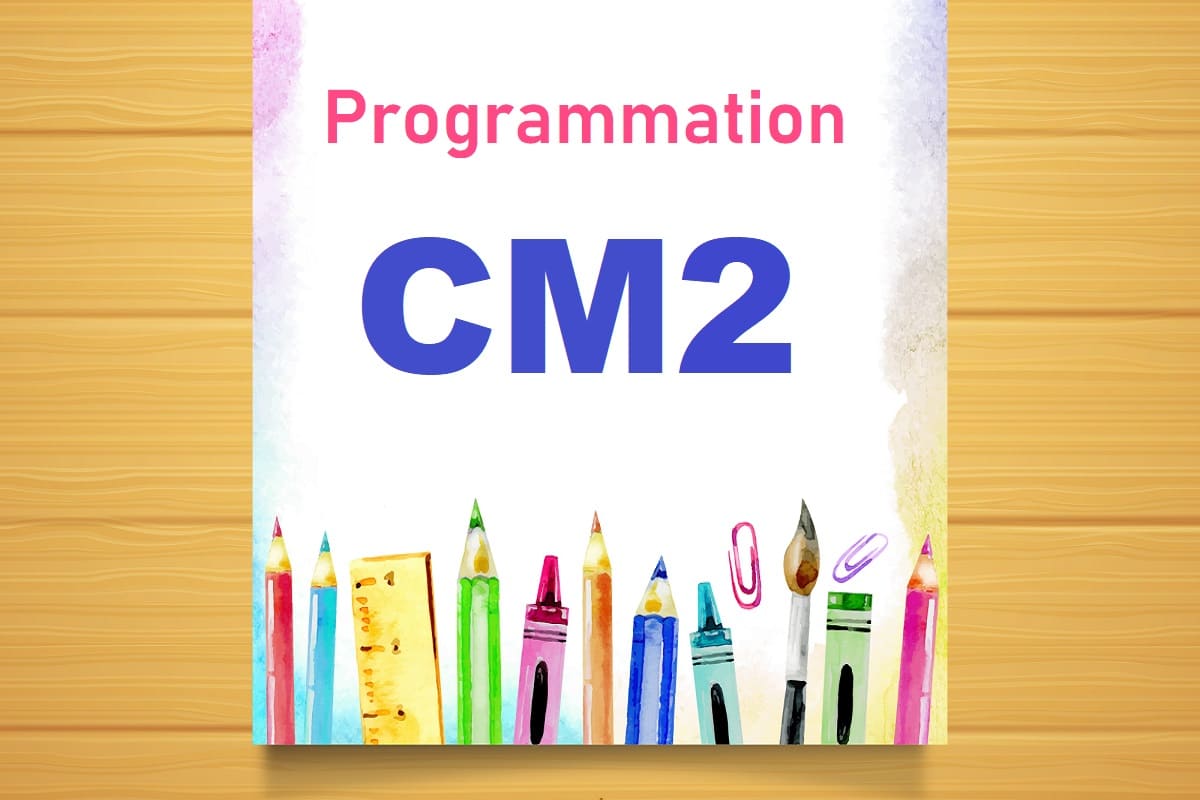 programmation CM2